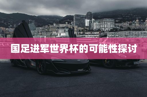 国足进军世界杯的可能性探讨