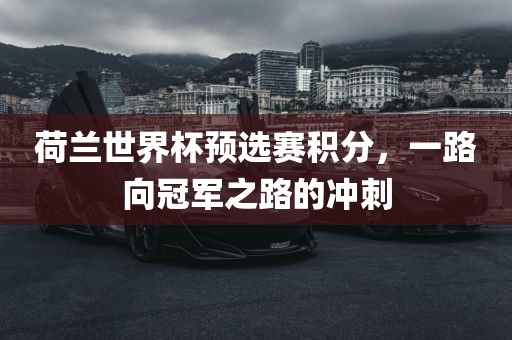 荷兰世界杯预选赛积分，一路向冠军之路的冲刺