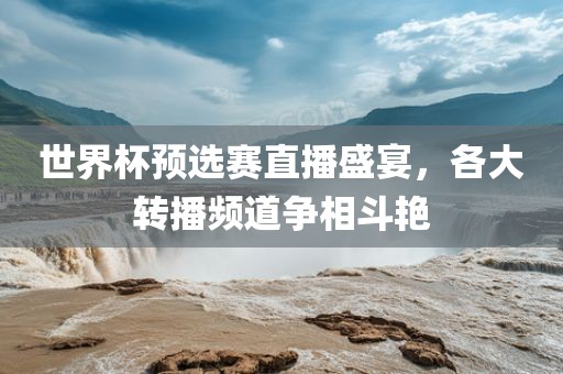 世界杯预选赛眉山市正发家政服务有限公司直播盛宴，各大转播频道争相斗艳
