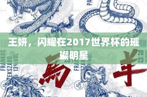 王妍，闪耀在2017世界杯的璀璨明星