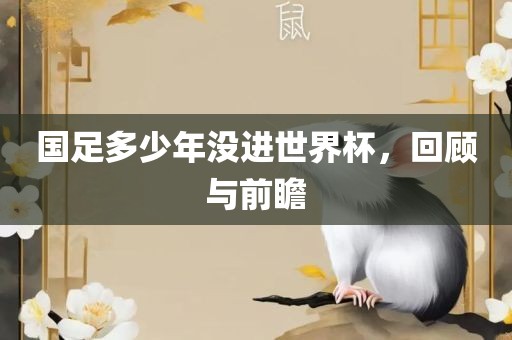 国足多少年没进世界杯，回顾与前瞻