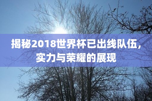 揭秘2018世界杯已出线队伍，实力与荣耀的展现眉山市正发家政服务有限公司