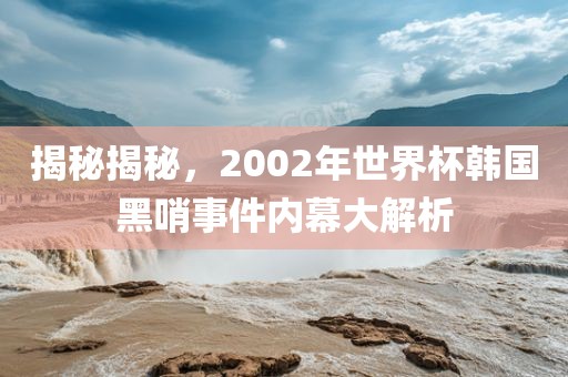 揭秘揭秘，2002年世界杯韩国黑哨事件内幕大解析