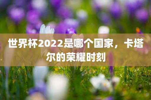 世界杯2022是哪个国家，卡塔尔的荣耀时刻