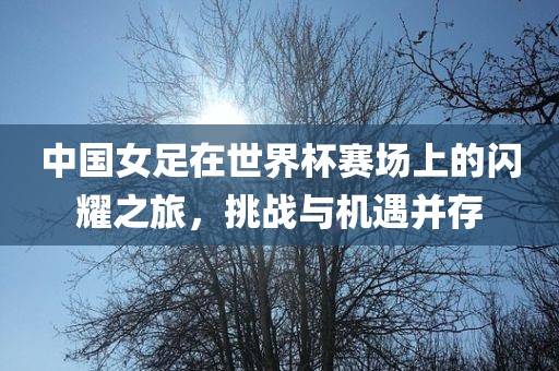 中国女足在世界杯赛场上的闪耀之旅，挑战与机遇并存