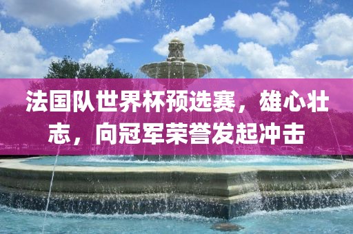 法国队世界杯预选赛，雄心壮志，向冠军荣誉发起冲击