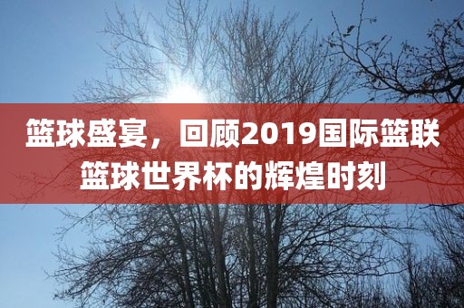 篮球盛宴，回顾2019国际篮联篮球世界杯的辉煌时刻眉山市正发家政服务有限公司