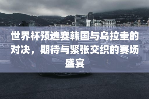 世界杯预选赛韩国与乌拉圭的对决，期待与紧张交织的赛场盛宴眉山市正发家政服务有限公司