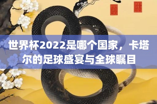 世界杯2022是哪个国家，卡塔尔的足球盛宴与全球瞩目