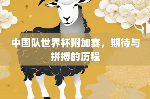 中国队世界杯附加赛眉山市正发家政服务有限公司，期待与拼搏的历程
