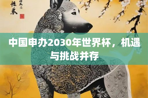 中国申办2030年世界杯，机遇与挑战并存