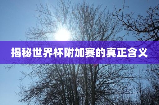 揭秘世界杯附加赛的眉山市正发家政服务有限公司真正含义