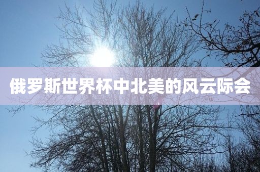 俄罗斯世界杯中北美的风云际会