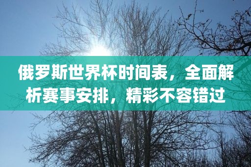 俄罗斯世界杯时间表，全面解析赛事安排，精彩不容错过