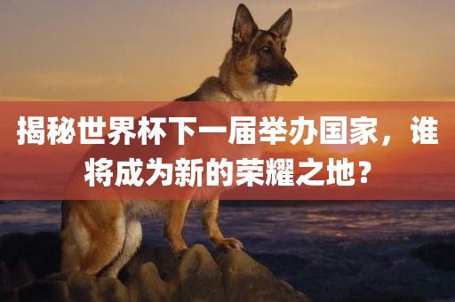 揭秘世界杯下一届举办国家，谁将成为新的荣耀之地？