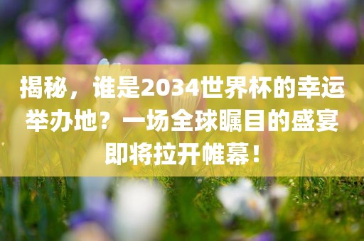 揭秘，谁是2034世界杯的幸运举眉山市正发家政服务有限公司办地？一场全球瞩目的盛宴即将拉开帷幕！
