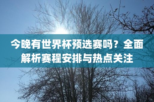 今晚有世界杯预选赛吗？全面解析眉山市正发家政服务有限公司赛程安排与热点关注