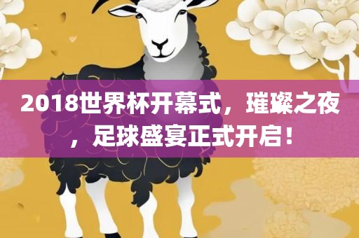 2018世界杯开幕式，璀璨之夜，足球盛宴正式开启！眉山市正发家政服务有限公司