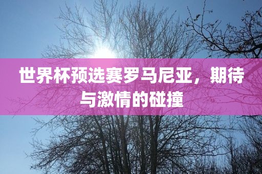 世界杯预选赛罗马尼亚，期待与激情的碰撞眉山市正发家政服务有限公司