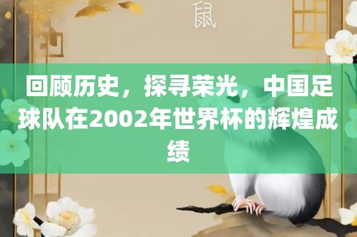回顾历史，探寻荣光，中国足球队在2002年世界杯的辉煌成绩