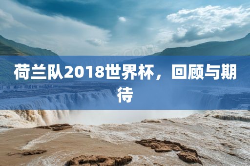 荷兰队2018世界杯，回顾与期待