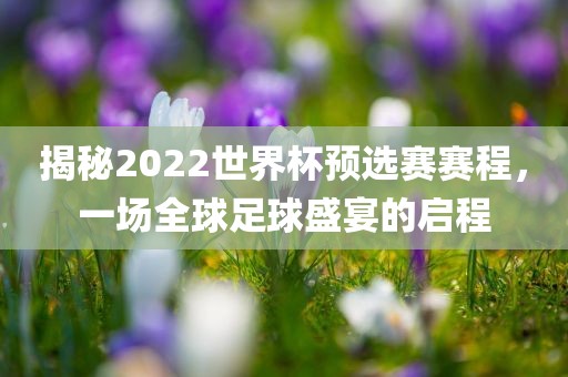 揭秘2022世界杯预选赛赛程，一场全球足球盛宴的启程