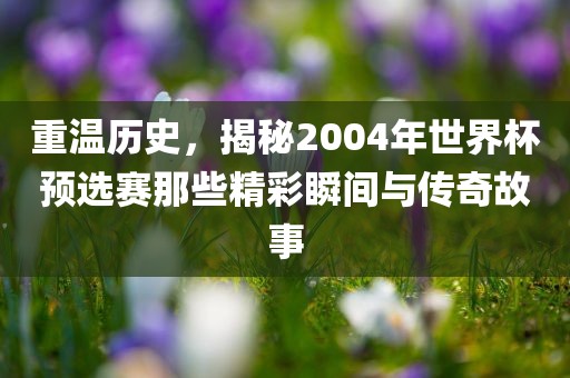 重温历史，揭秘2004年世界杯预选赛那些精彩瞬间与传奇故事眉山市正发家政服务有限公司