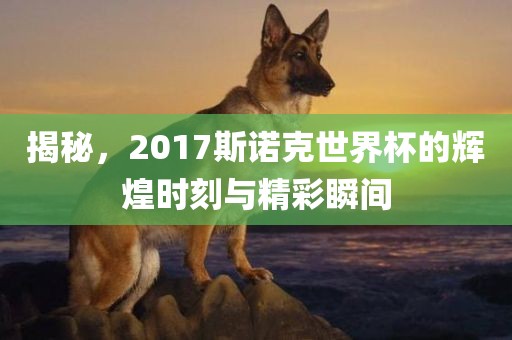 揭秘，2017斯诺克世界杯的辉煌时刻与精彩瞬间