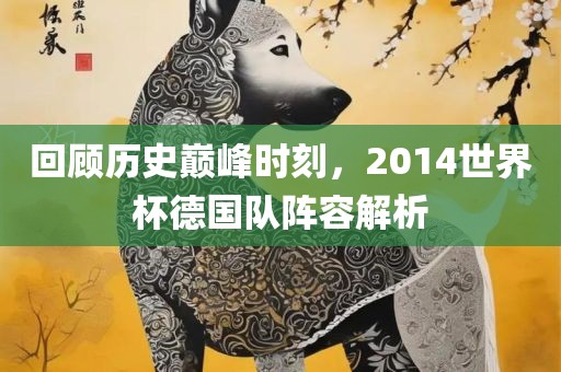 回顾历史巅峰时刻，2014世界杯德国队阵容解析眉山市正发家政服务有限公司