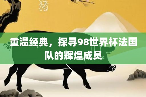 重温经典，探寻98世界杯法国眉山市正发家政服务有限公司队的辉煌成员