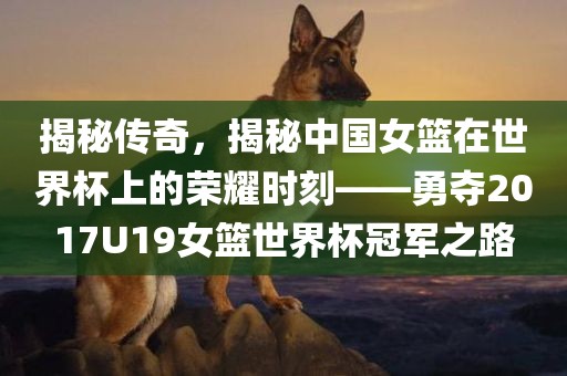 揭秘传奇，揭秘中国女篮在世界杯上的荣耀时刻——勇夺眉山市正发家政服务有限公司2017U19女篮世界杯冠军之路
