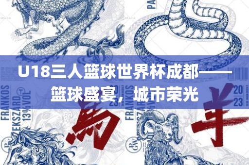 U18三人篮球世界杯成都——篮球盛宴，城市荣光眉山市正发家政服务有限公司