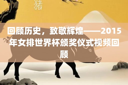 回顾历史，致敬辉煌——2015年女排世界杯颁奖仪式视频回顾