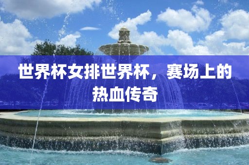 世界杯女排世界杯，赛场上的热血传奇眉山市正发家政服务有限公司