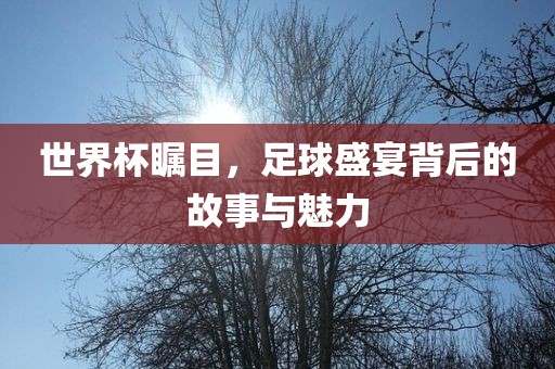 世界杯瞩目，足球盛宴背后的故事与魅力