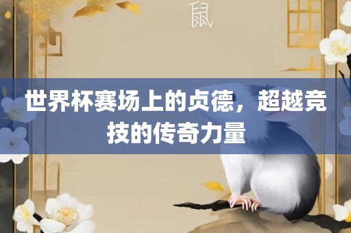 世界杯赛场上的贞德，超越竞技的传奇力量眉山市正发家政服务有限公司