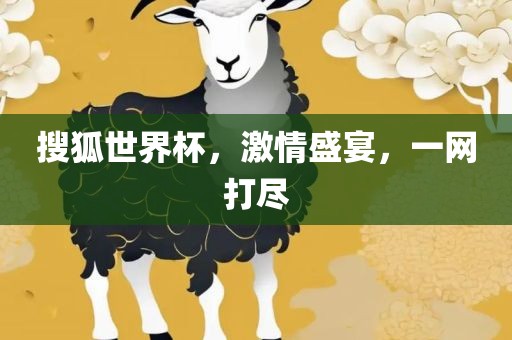 搜狐世界杯，激情盛宴，一网打尽