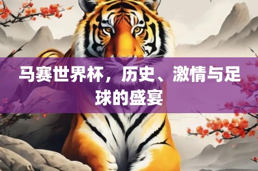 足球盛宴 第4页