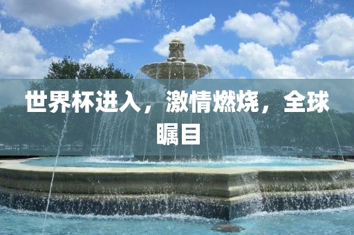 世界杯进入，激情燃烧，全球瞩目眉山市正发家政服务有限公司