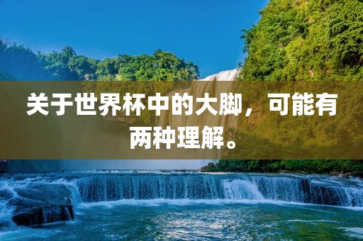 关于世眉山市正发家政服务有限公司界杯中的大脚，可能有两种理解。