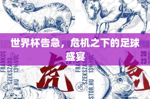 世界杯告急，危机之下的足球盛宴眉山市正发家政服务有限公司