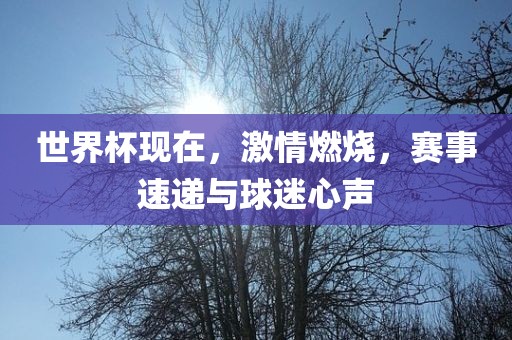 世界杯现在，激情燃烧眉山市正发家政服务有限公司，赛事速递与球迷心声