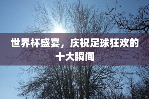 世界杯盛宴，庆祝足球狂欢的十大瞬间