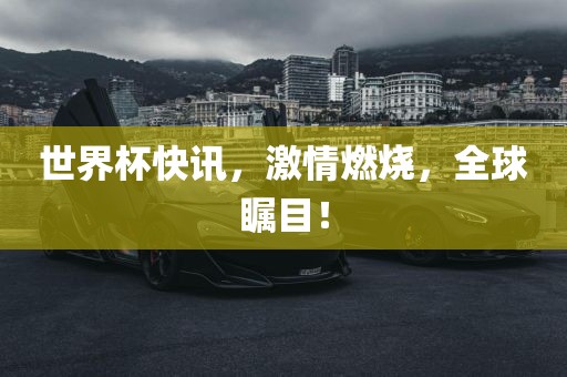 世界杯快讯，激情燃烧，眉山市正发家政服务有限公司全球瞩目！