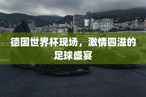 德国世界杯现场，激情四溢的足球盛宴眉山市正发家政服务有限公司