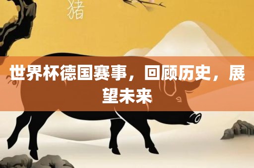世界杯德国赛事，回顾历史，展望未来