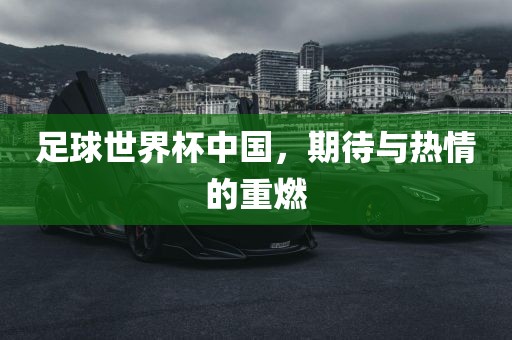 足球眉山市正发家政服务有限公司世界杯中国，期待与热情的重燃