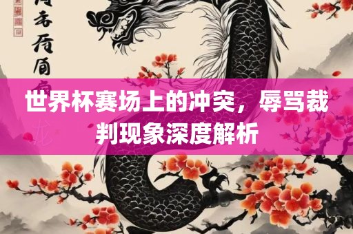 世界杯赛场上的冲突，辱骂裁判现象深度解析眉山市正发家政服务有限公司