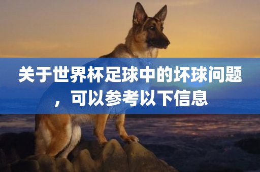 关于世界杯足球中的坏球问题，可以参考以下信息眉山市正发家政服务有限公司