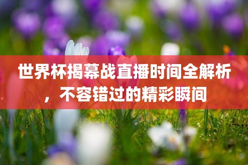 世界杯揭幕战直播时间全解析，不容错过的精彩瞬间眉山市正发家政服务有限公司